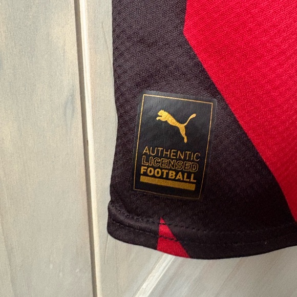 Boys Puma Manchester City SoccerJersey - Picture 4 of 6